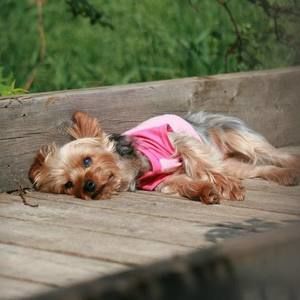 Meet your Posher, Sandra